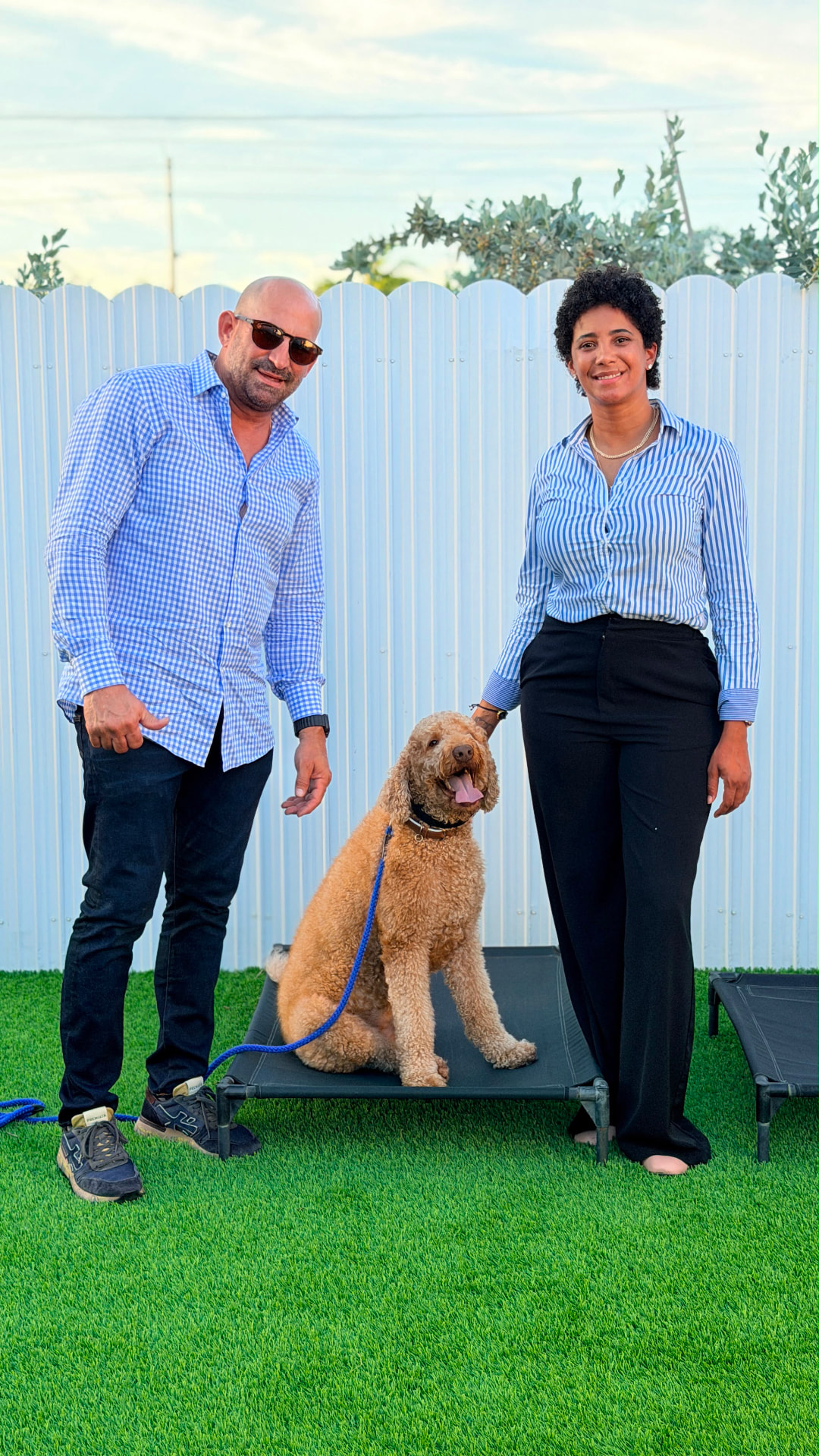 Goldendoodle en place junto a sus dueños