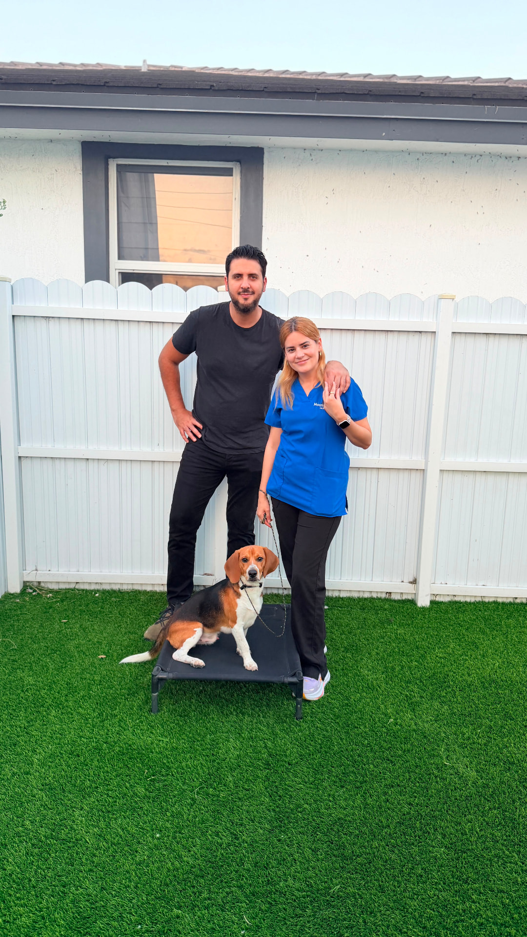 Beagle entrenado con sus dueños