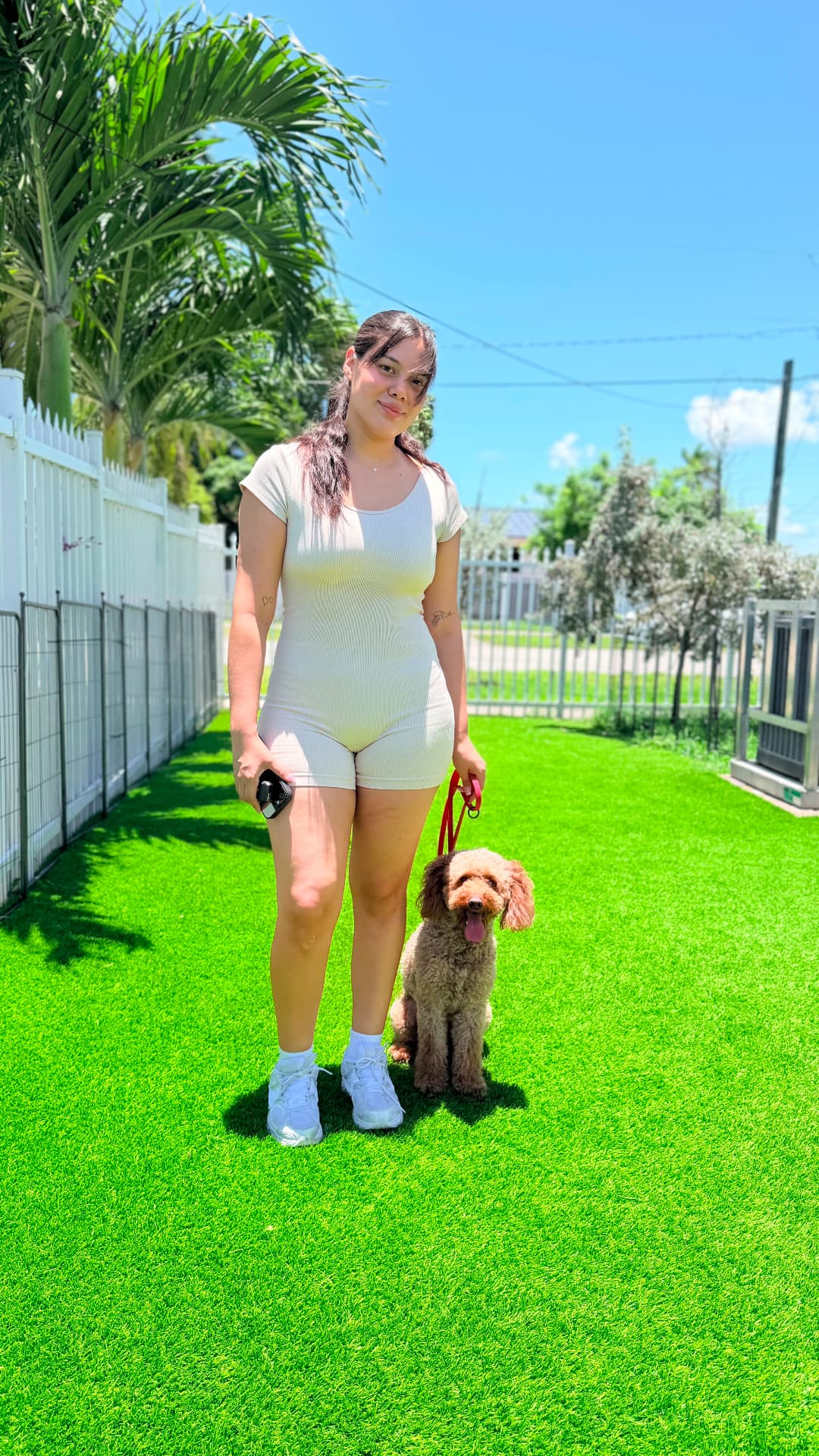 Poodle listo para su sesión de entrenamiento