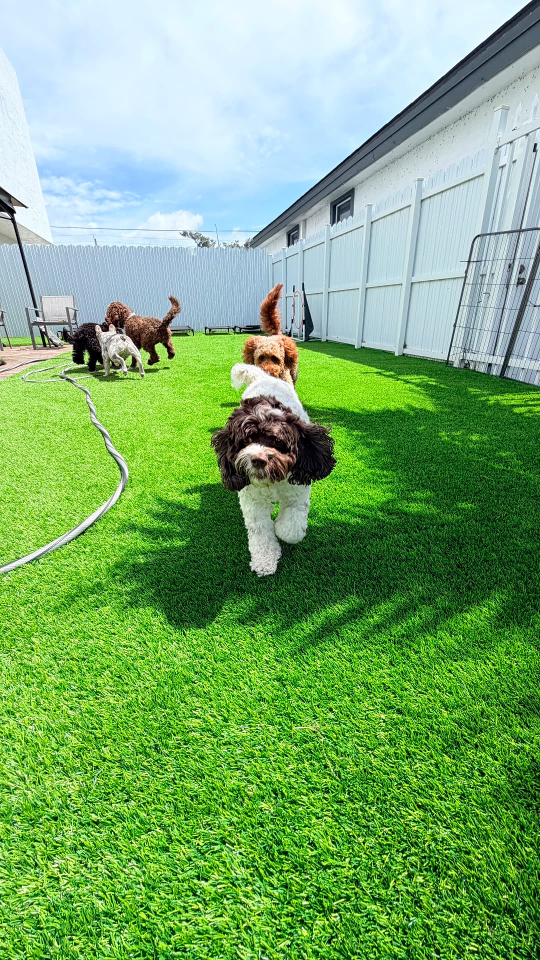 Grupo de daycare corriendo en el patio